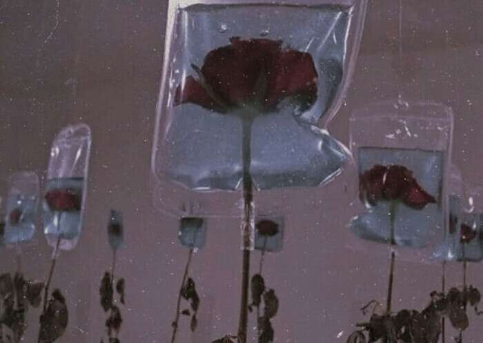 嘁，大小姐命也罢