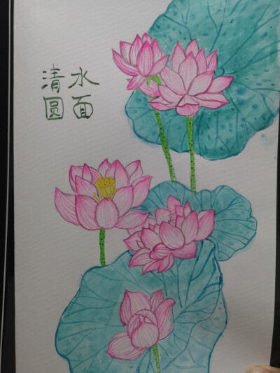 距离上次画画，已经过了7年了，重拾画笔，画我最爱的荷花，临摹了一位优秀的画家，可惜左边那朵荷花画的过于肥硕，以后继续努力