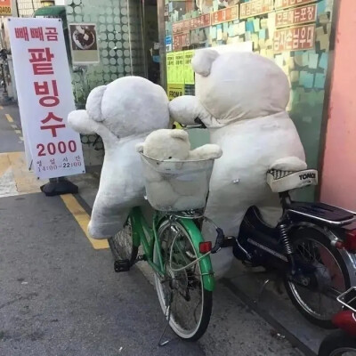 今日份搞笑沙雕头像【推荐】✨