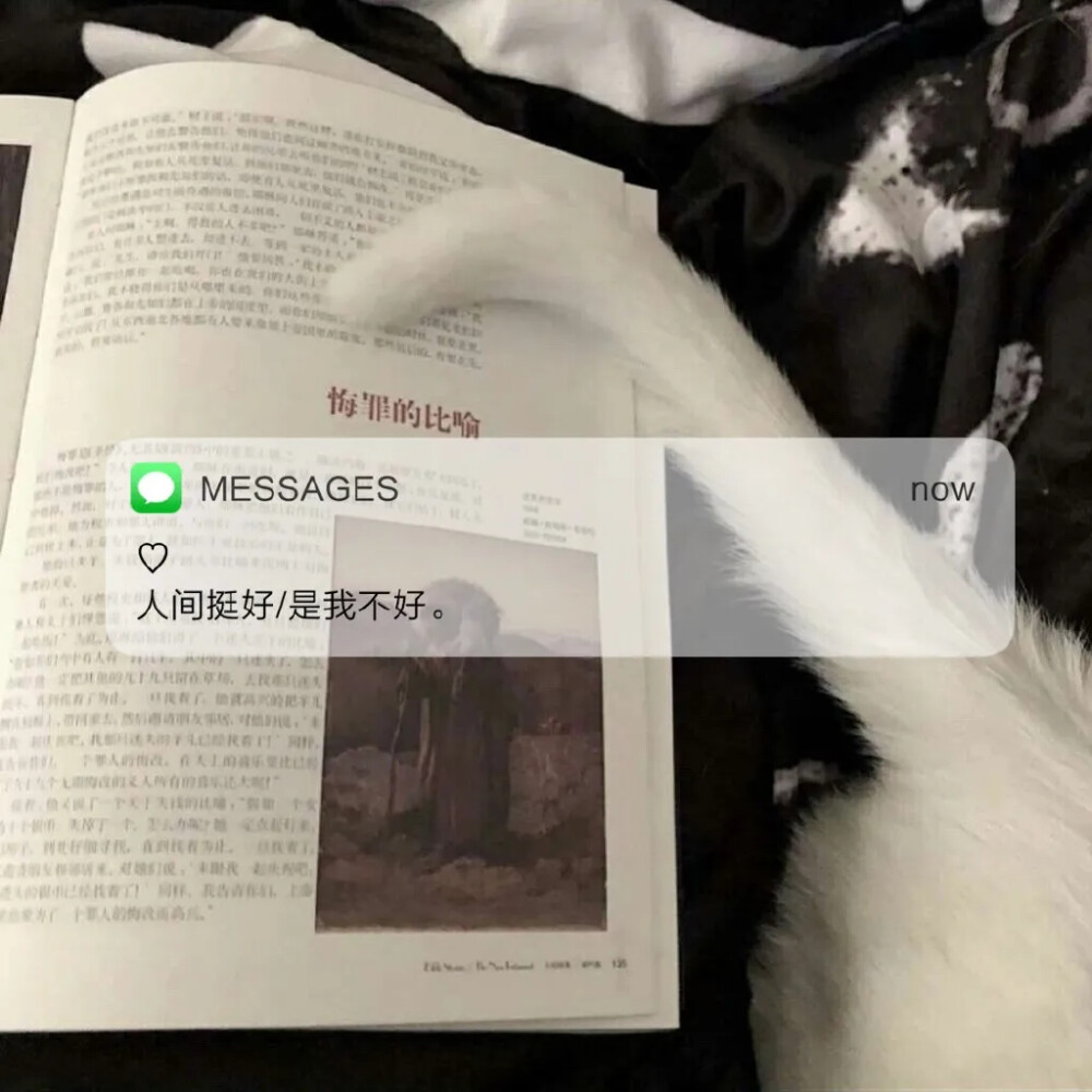 INS风朋友圈背景图