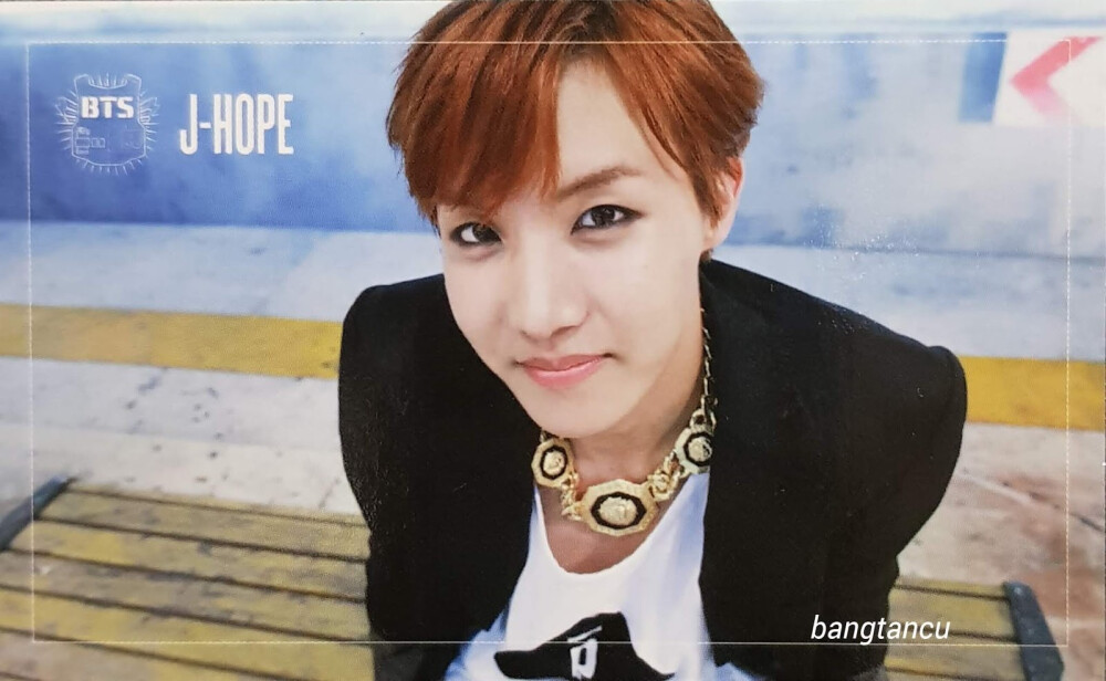 【专辑小卡】
Dark & Wild