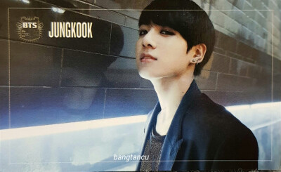 【专辑小卡】
Dark & Wild