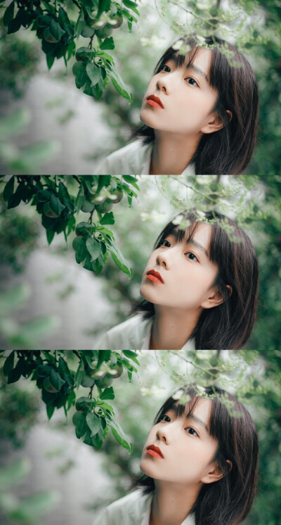 人间理想 达菲！