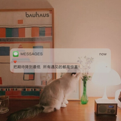 Messages文案 | 朋友圈背景图