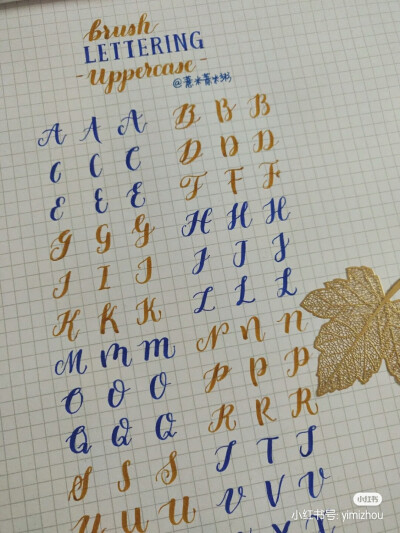 字体