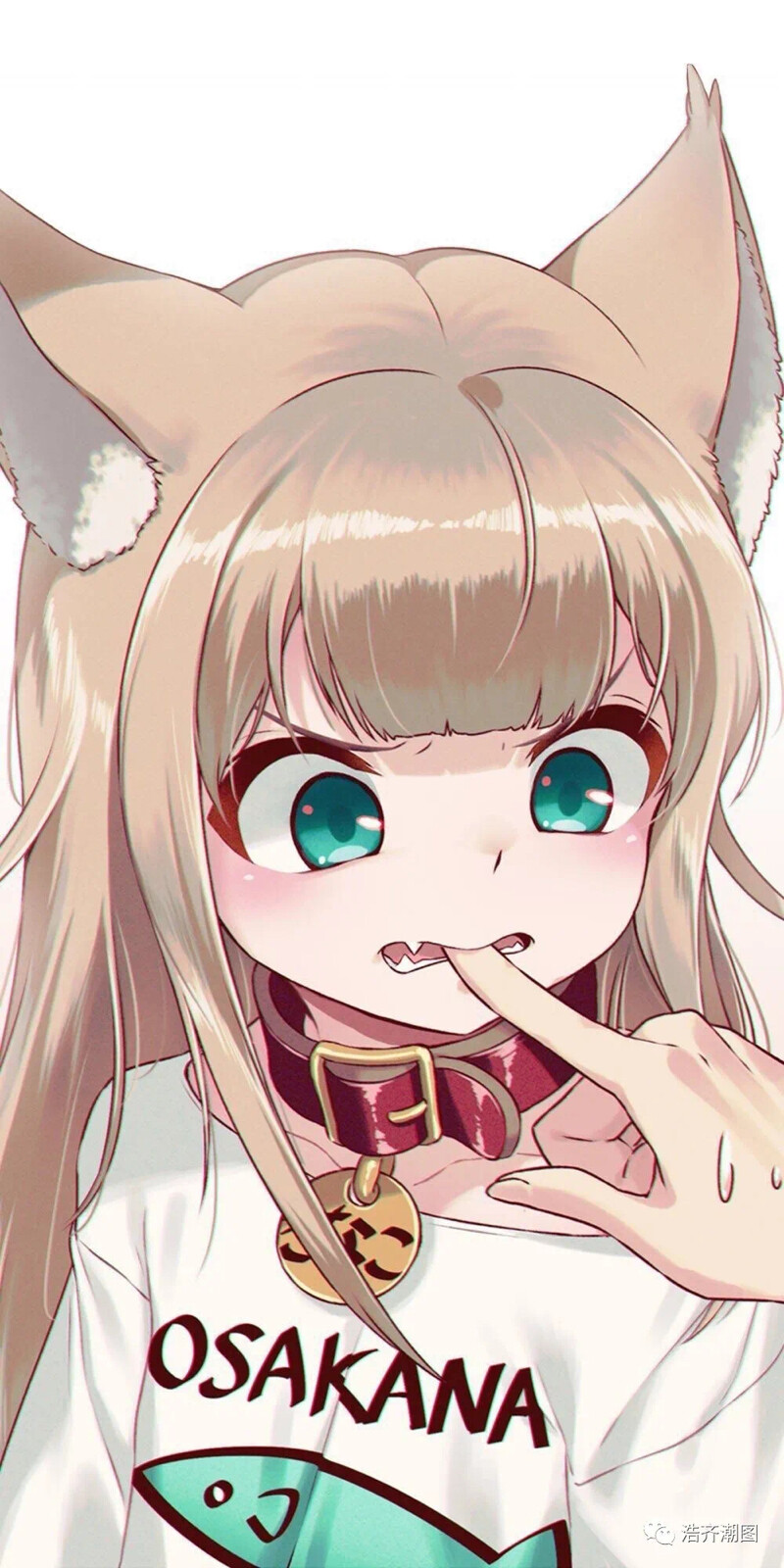 源 微信浩齐潮图