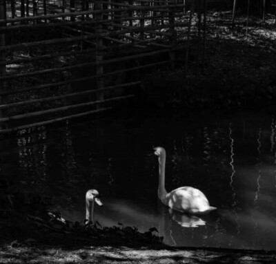 JIMIN*落入凡塵的神明＂我的月神./MINToYou_1013. 