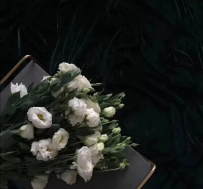 JIMIN*落入凡塵的神明＂我的月神./MINToYou_1013. 