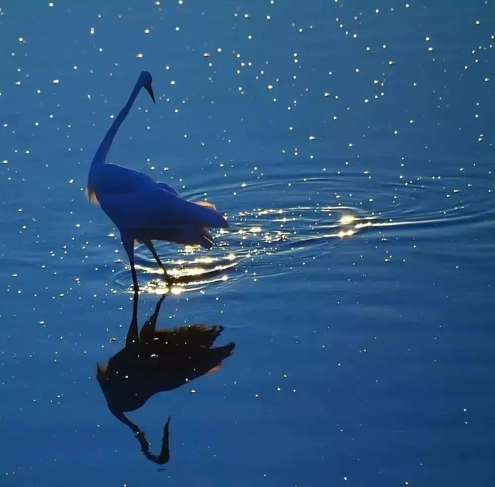 背景图·我拒绝了吹来的风，也没有再喜欢的人。