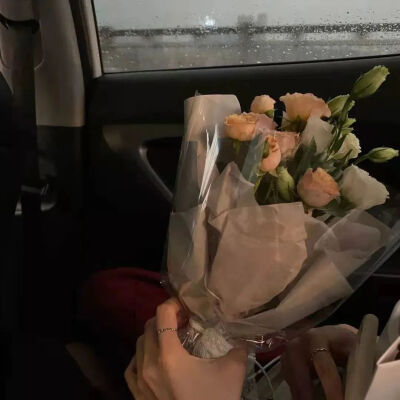 背景图·我拒绝了吹来的风，也没有再喜欢的人。