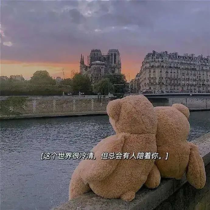 背景图·我拒绝了吹来的风，也没有再喜欢的人。