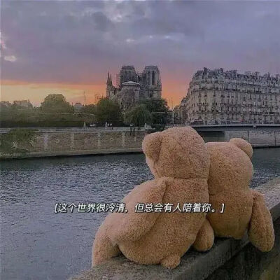 背景图·我拒绝了吹来的风，也没有再喜欢的人。