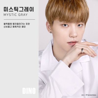 DINO 灿妮