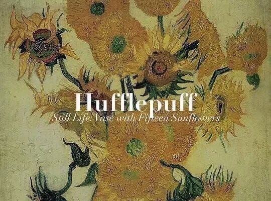 我们的猫头鹰只是迷失在了大海的上空罢了。