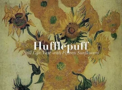 我们的猫头鹰只是迷失在了大海的上空罢了。