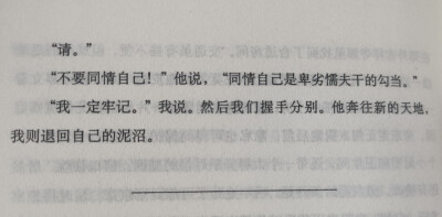 《挪威的森林》