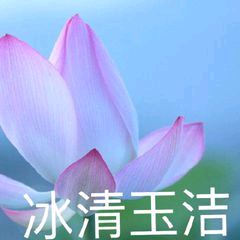 团头