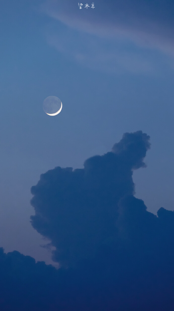 心动是夜半的荒野，长风一吹，星火便能燎原
：@梁木辛_ ​​​​