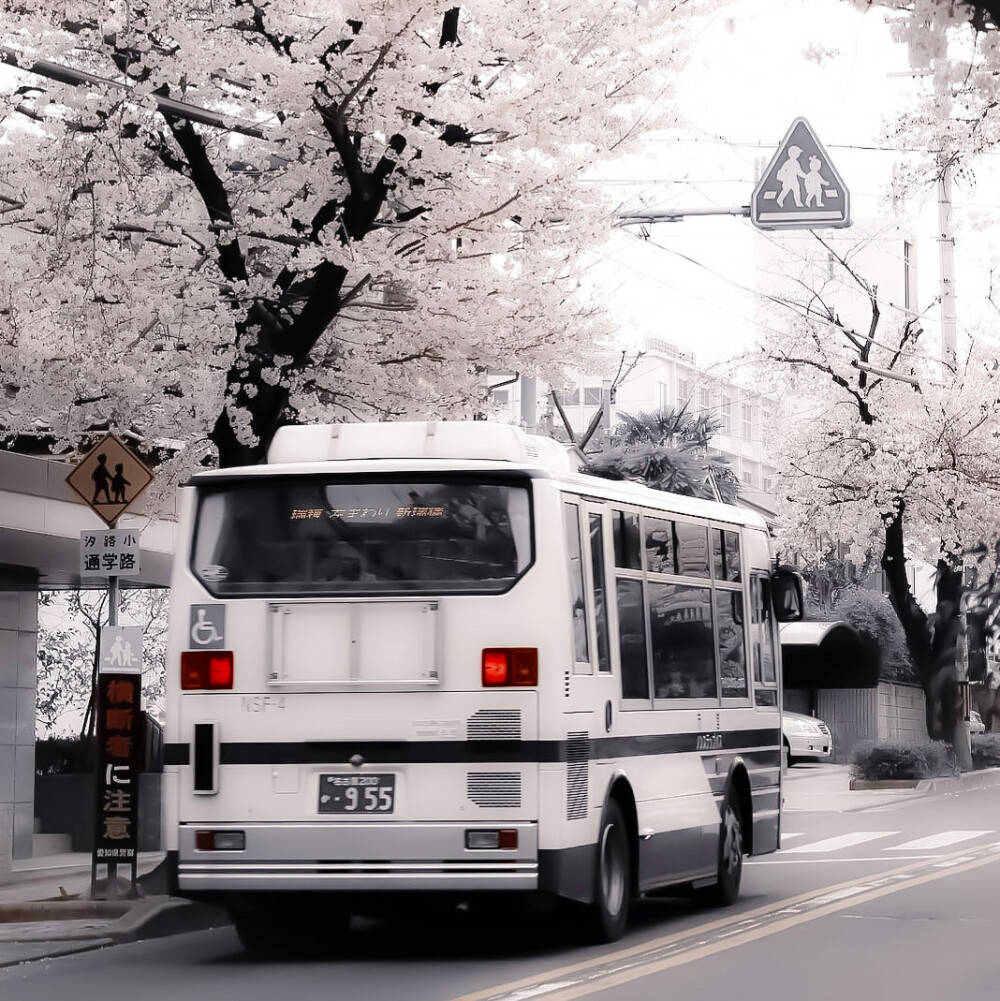 
♪ Phonecall-Ken Arai