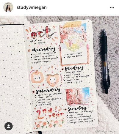 bujo