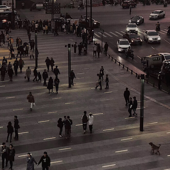 相信即存在，存在即合理