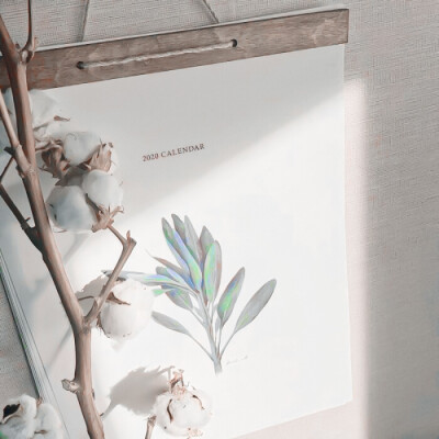 ◦朴彩英Rosé
©Firstlove_rose