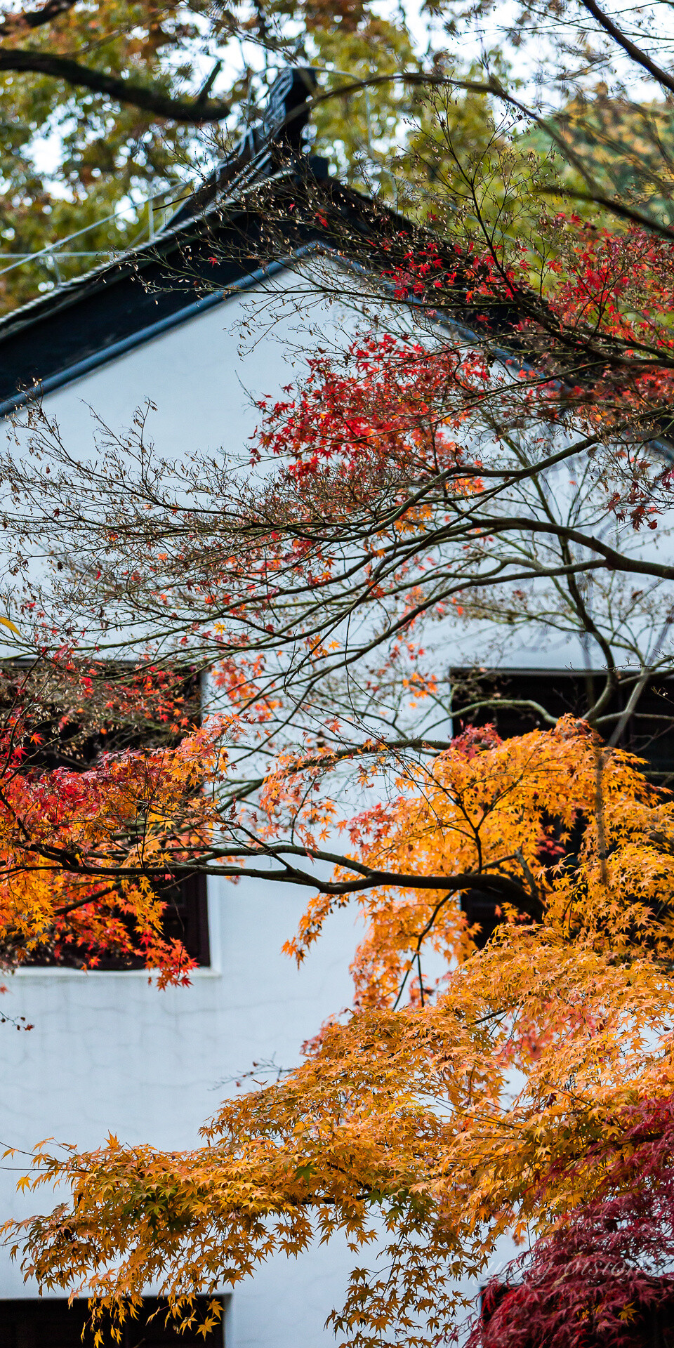 苏州 兴福禅寺