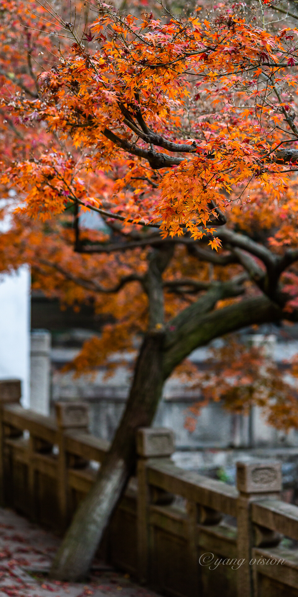 苏州 兴福禅寺