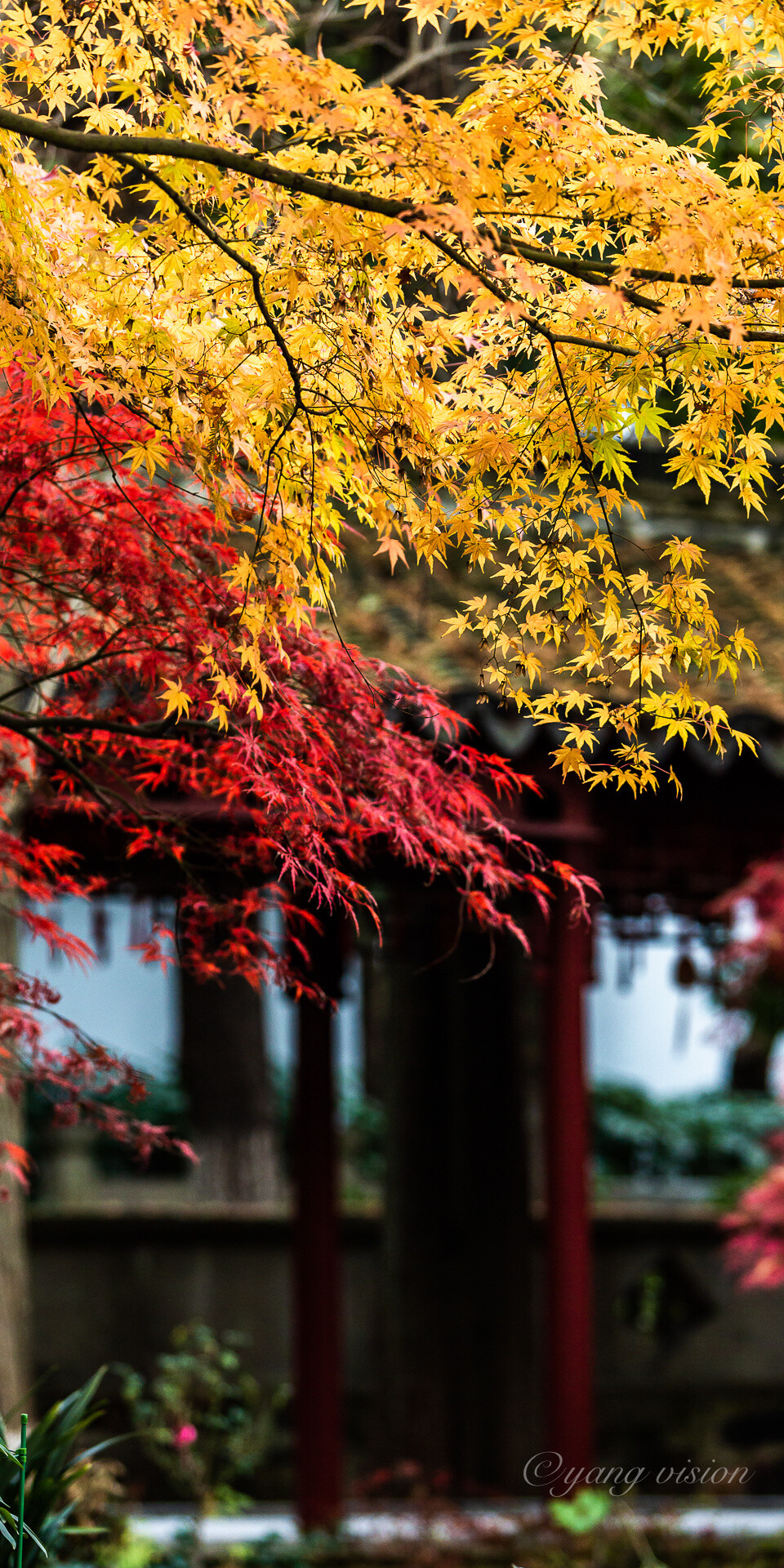 苏州 兴福禅寺