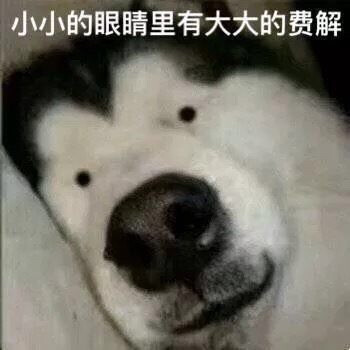 狗头表情包