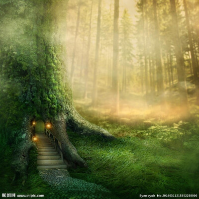 今晚进入童话森林，大家一夜好梦
