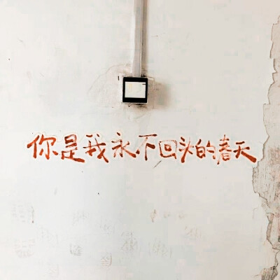 李知恩IU / 陆之畅.
“听见了吗 你是我永不回头的春天.”
有想共建新专辑der美女子吗.