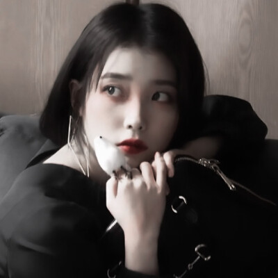 **/
私はもちろん月を取ろうとはしません。私は月を探して来ます.