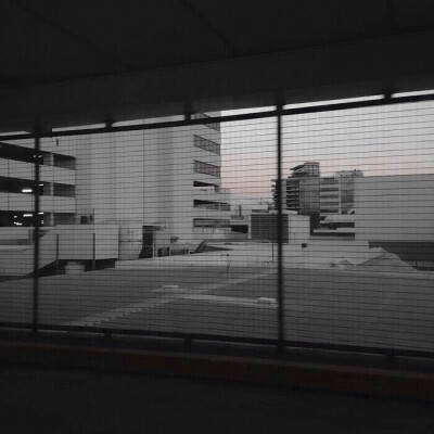 **/
私はもちろん月を取ろうとはしません。私は月を探して来ます.