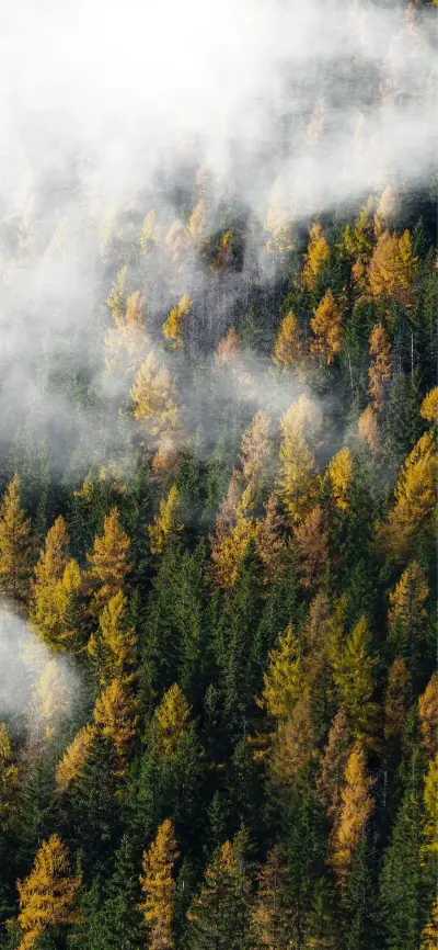 风景壁纸