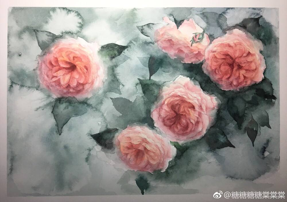 明小花