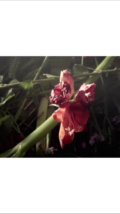 注明陈泤 改d。