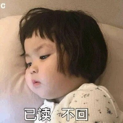 卑微但倔强