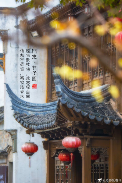 #南京文旅# 冬日门东、芥子园，蜡梅花开香满园！摄影@光影剑客N ​​​