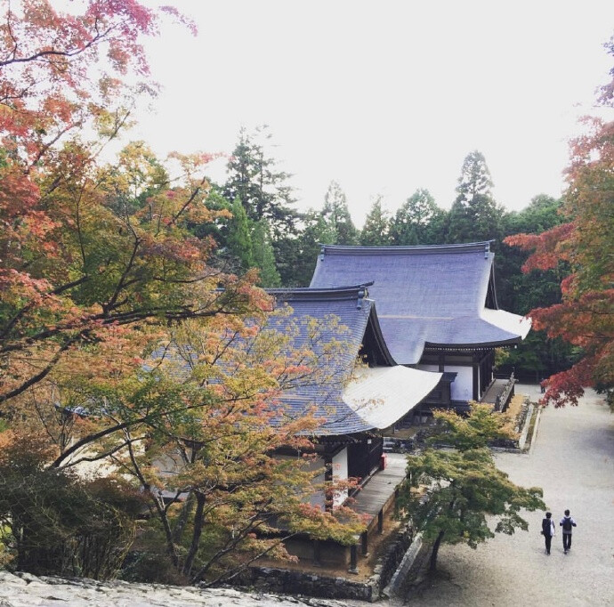 夏目友人帐圣地巡礼，
阳光洒下的高雄山神户寺 ​​​​