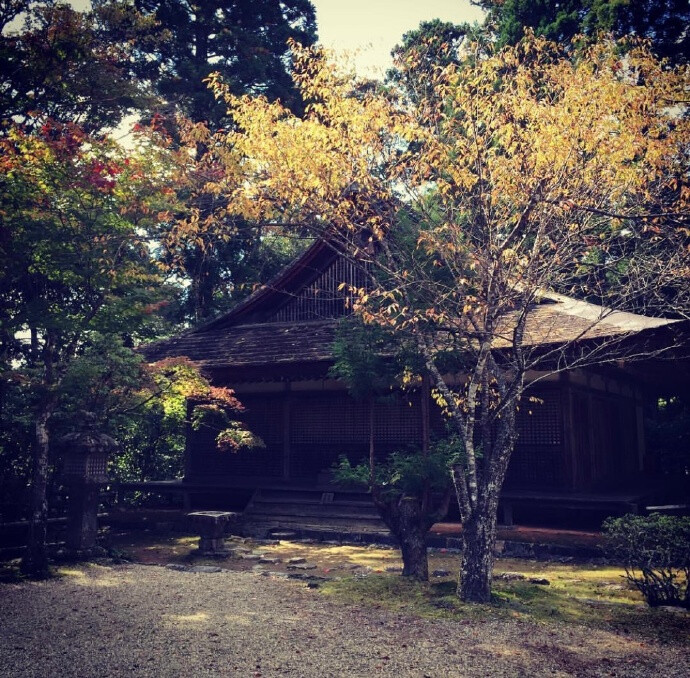 夏目友人帐圣地巡礼，
阳光洒下的高雄山神户寺 ​​​​