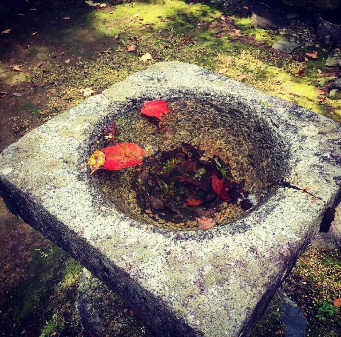 夏目友人帐圣地巡礼，
阳光洒下的高雄山神户寺 ​​​​