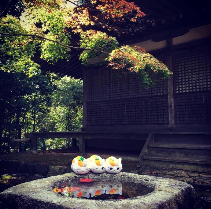 夏目友人帐圣地巡礼，
阳光洒下的高雄山神户寺 ​​​​