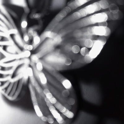 虽然我表面上看起来冷冰冰和你没什么交流，但其实背地里我讲了你很多坏话