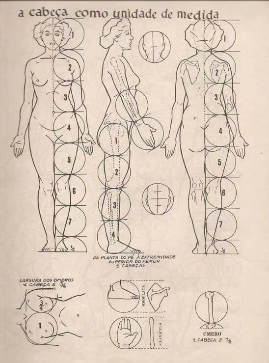 绘画参考素材 人体比例 ​​​​