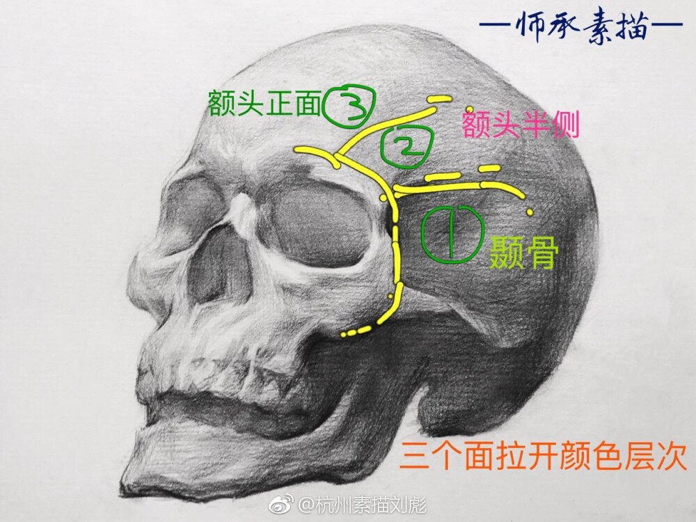 美术素材-
模型*头骨*结构*专业
