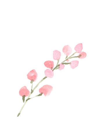 动态素材