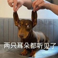 表情包