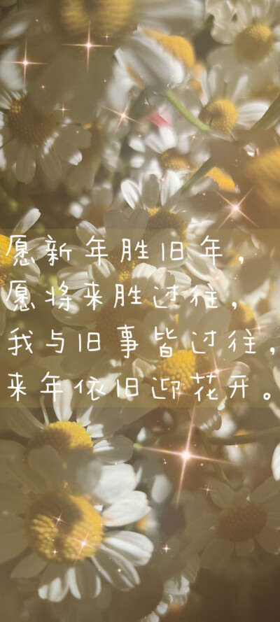 洋甘菊