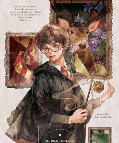 Harry Potter